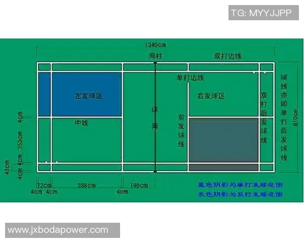 深入探讨北京羽毛球队与其他队伍的实力差异与发展潜力分析
